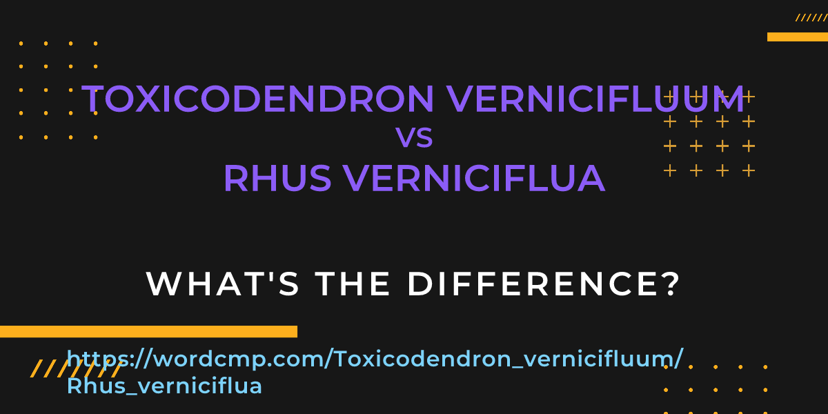 Difference between Toxicodendron vernicifluum and Rhus verniciflua