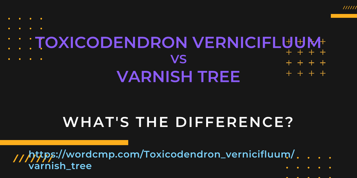 Difference between Toxicodendron vernicifluum and varnish tree
