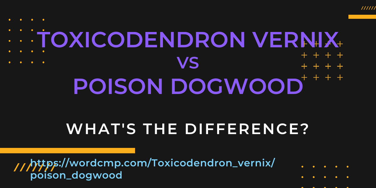 Difference between Toxicodendron vernix and poison dogwood