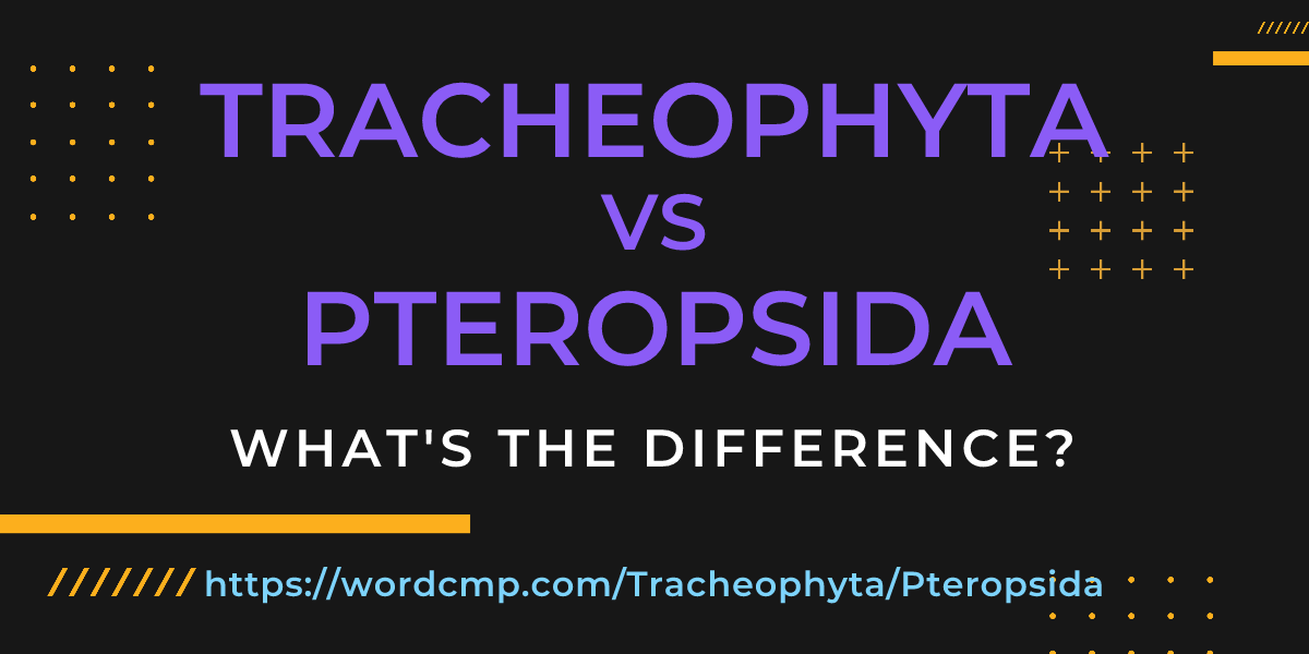 Difference between Tracheophyta and Pteropsida
