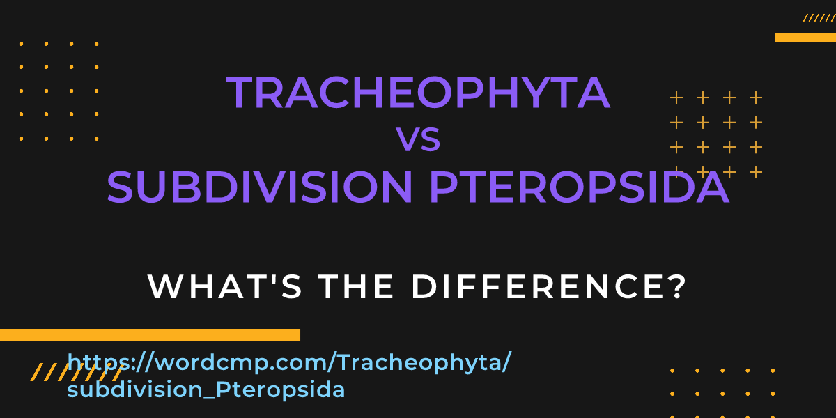 Difference between Tracheophyta and subdivision Pteropsida