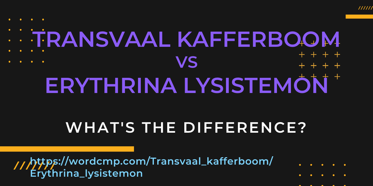 Difference between Transvaal kafferboom and Erythrina lysistemon