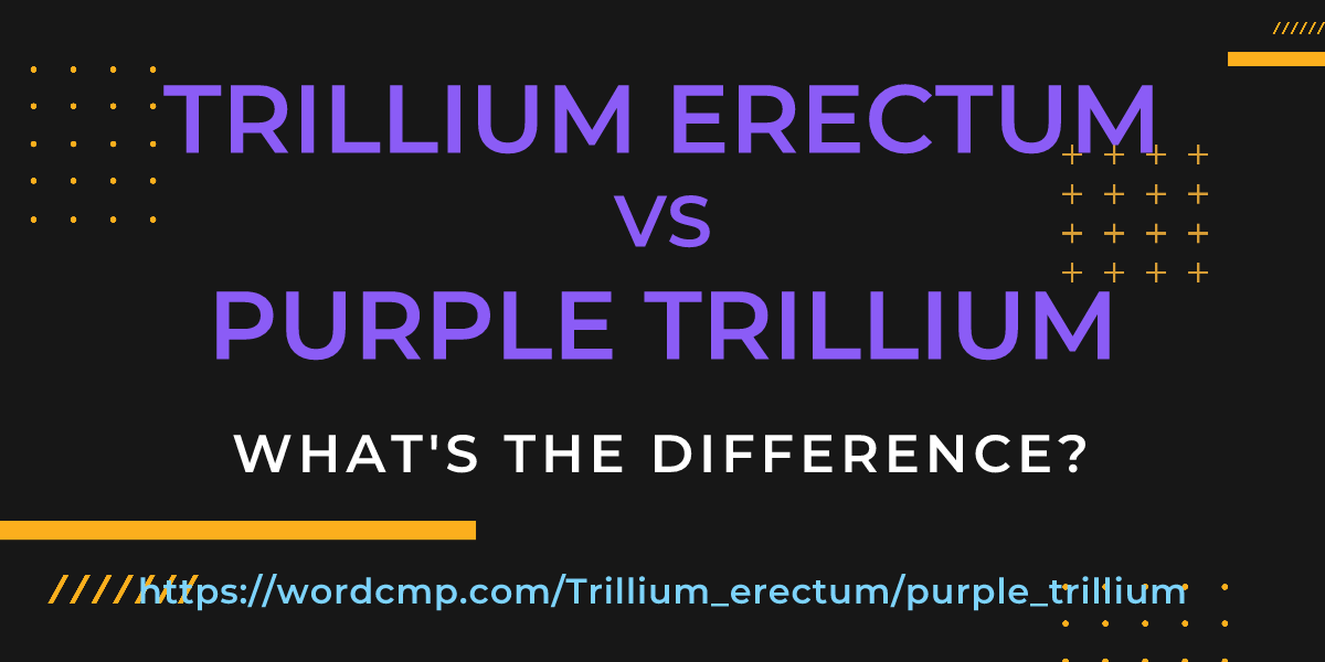 Difference between Trillium erectum and purple trillium