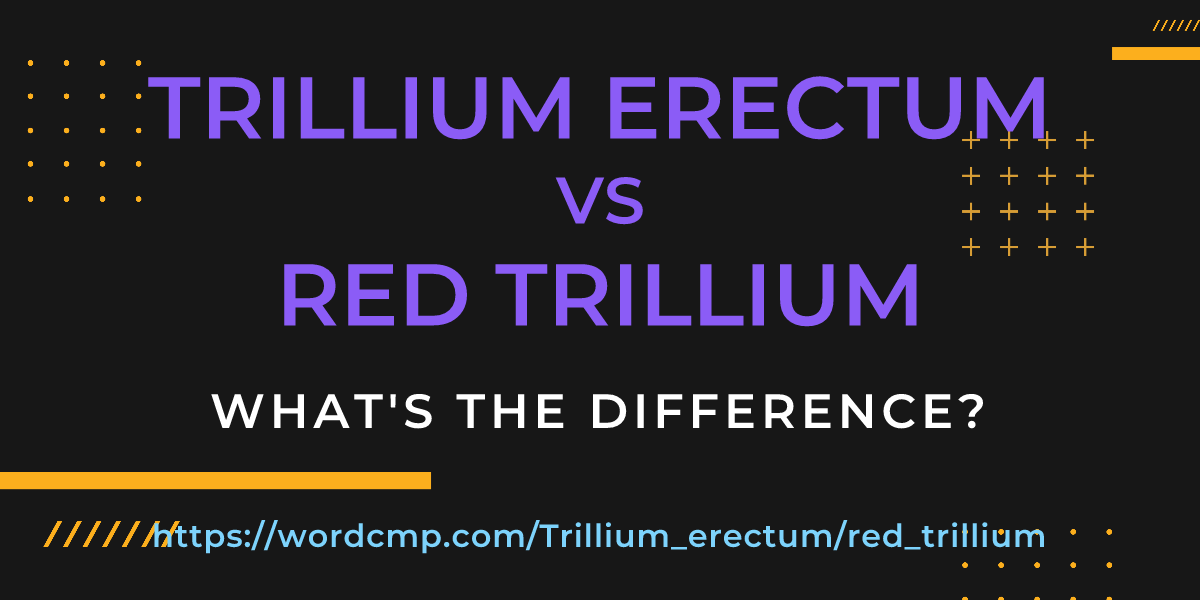 Difference between Trillium erectum and red trillium