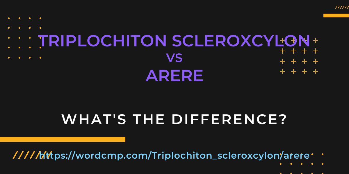 Difference between Triplochiton scleroxcylon and arere