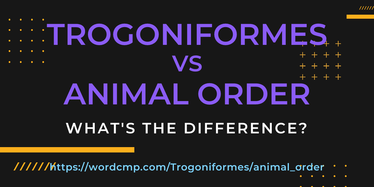Difference between Trogoniformes and animal order
