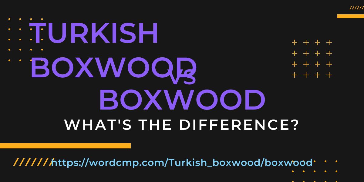 Difference between Turkish boxwood and boxwood