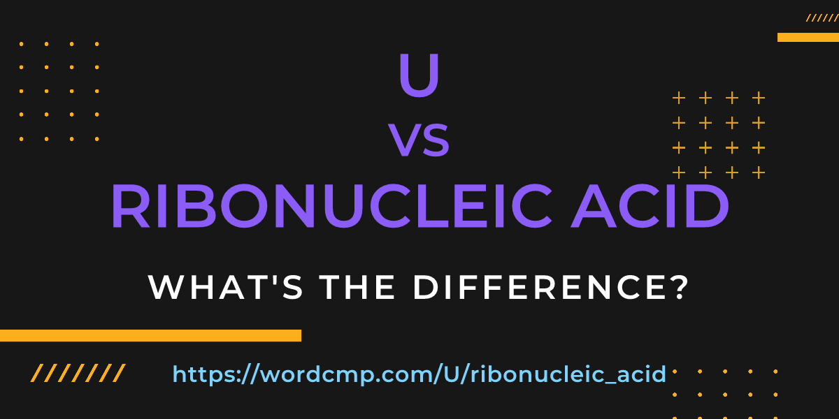Difference between U and ribonucleic acid