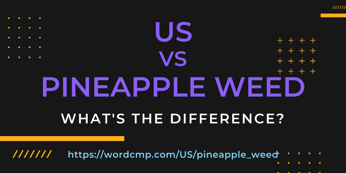 Difference between US and pineapple weed