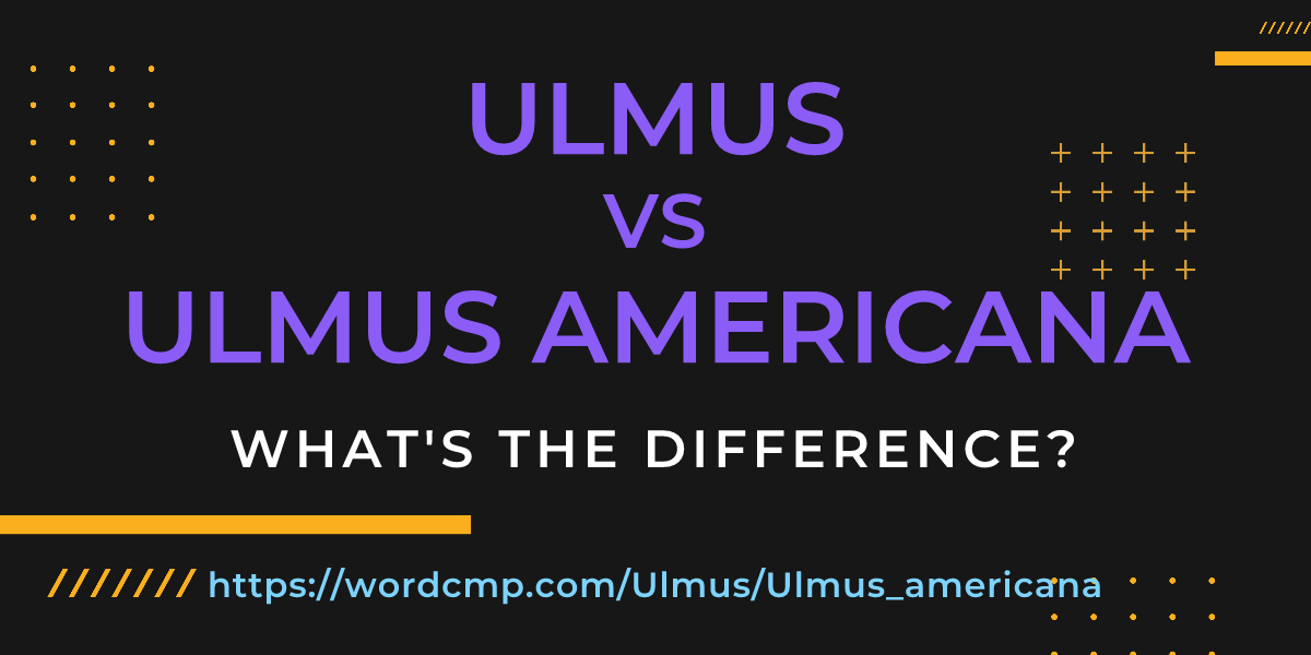 Difference between Ulmus and Ulmus americana