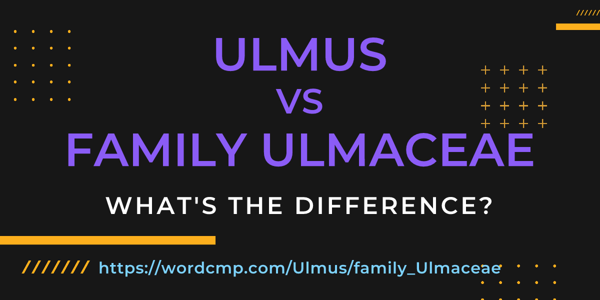 Difference between Ulmus and family Ulmaceae