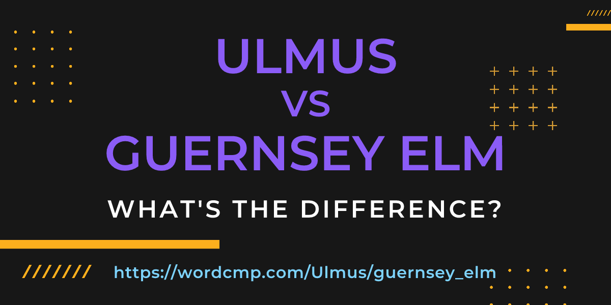 Difference between Ulmus and guernsey elm