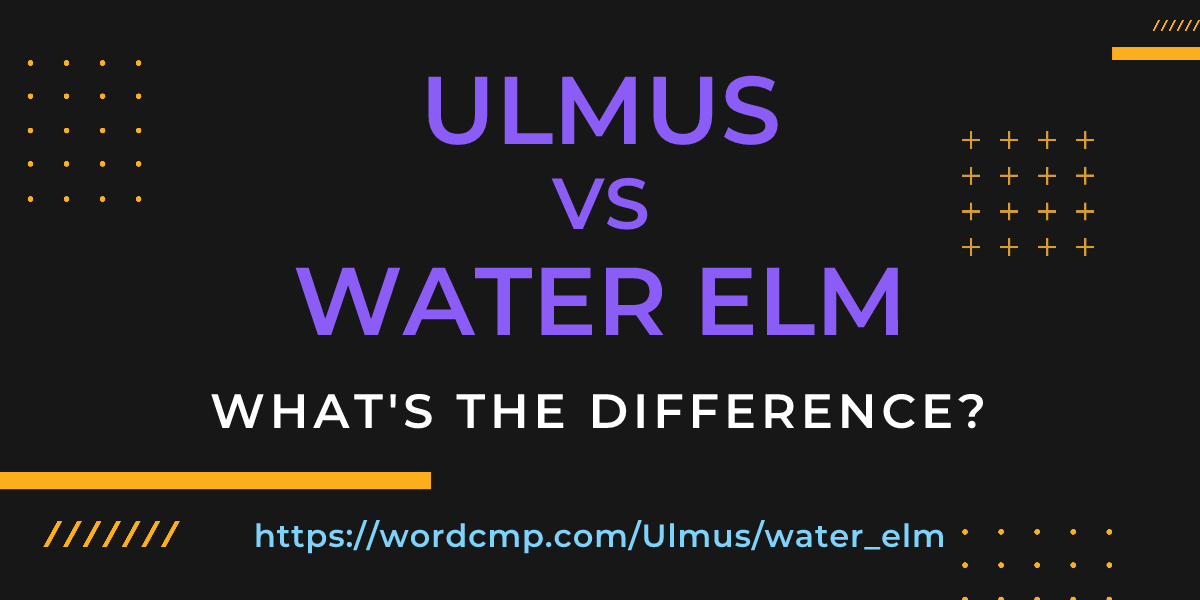 Difference between Ulmus and water elm