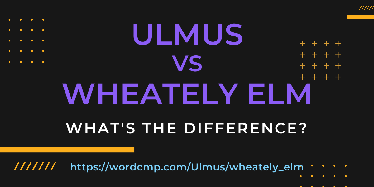 Difference between Ulmus and wheately elm