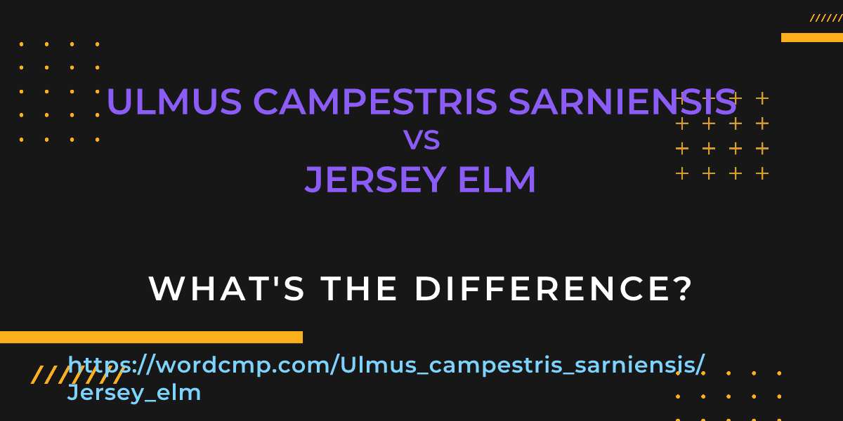 Difference between Ulmus campestris sarniensis and Jersey elm