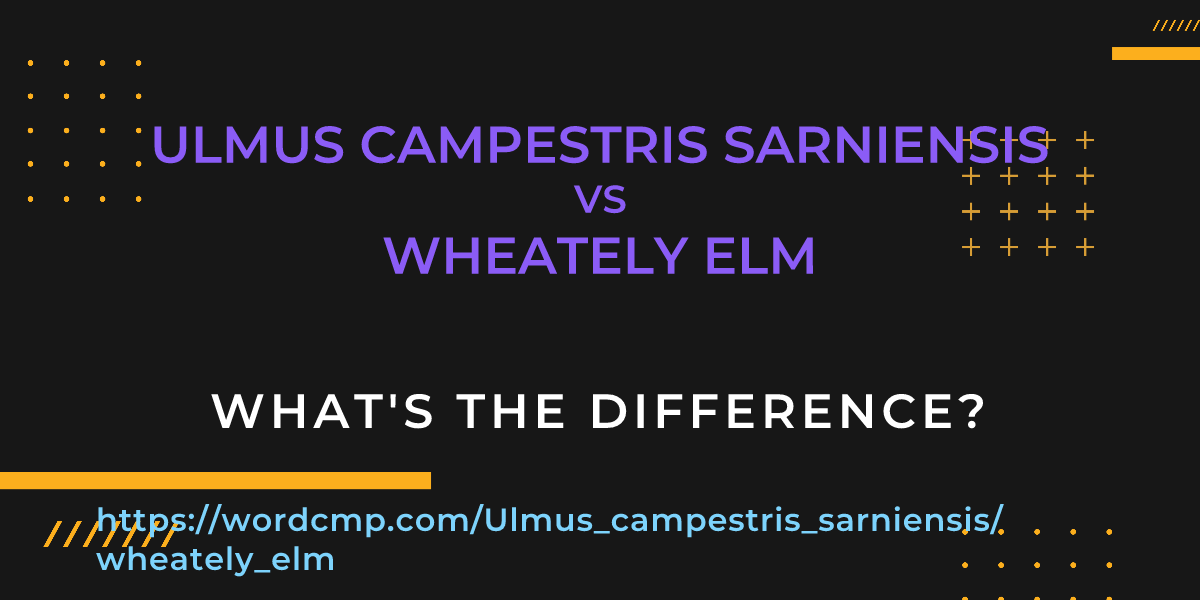 Difference between Ulmus campestris sarniensis and wheately elm