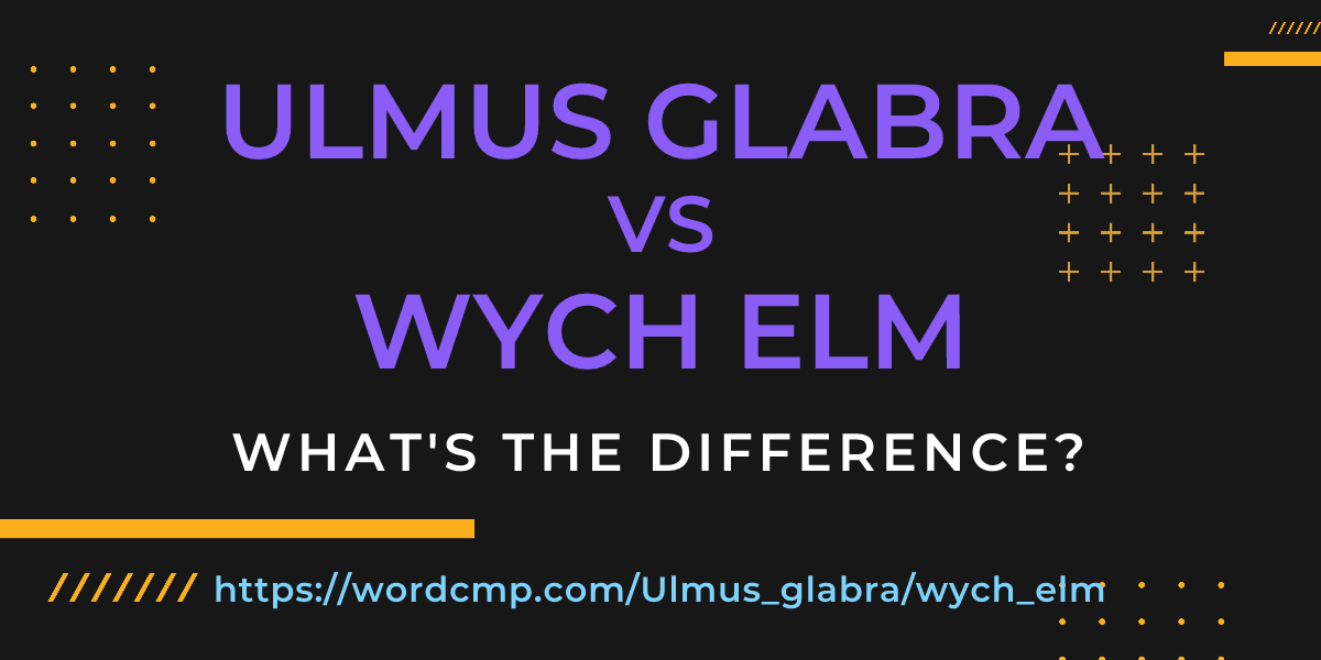 Difference between Ulmus glabra and wych elm