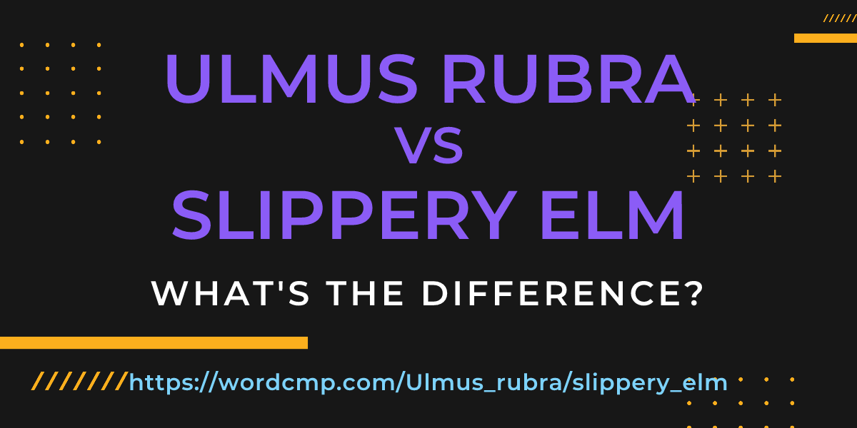 Difference between Ulmus rubra and slippery elm