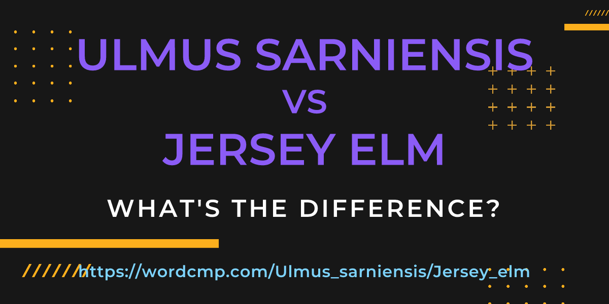 Difference between Ulmus sarniensis and Jersey elm