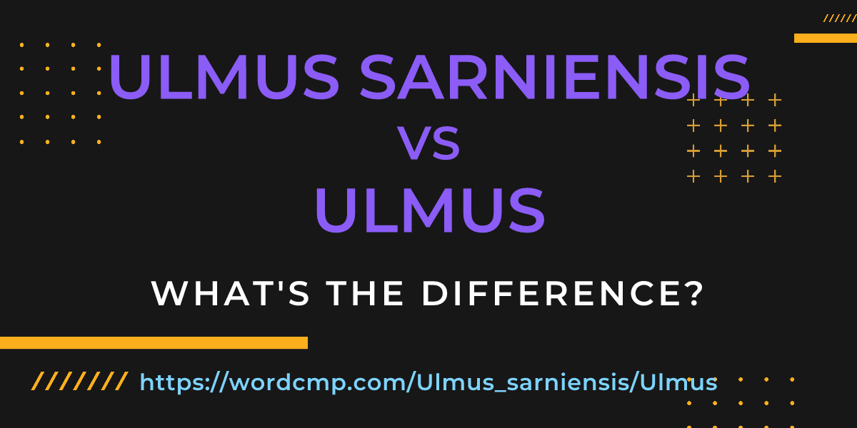 Difference between Ulmus sarniensis and Ulmus