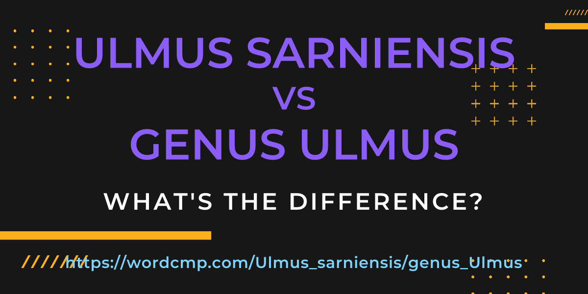 Difference between Ulmus sarniensis and genus Ulmus