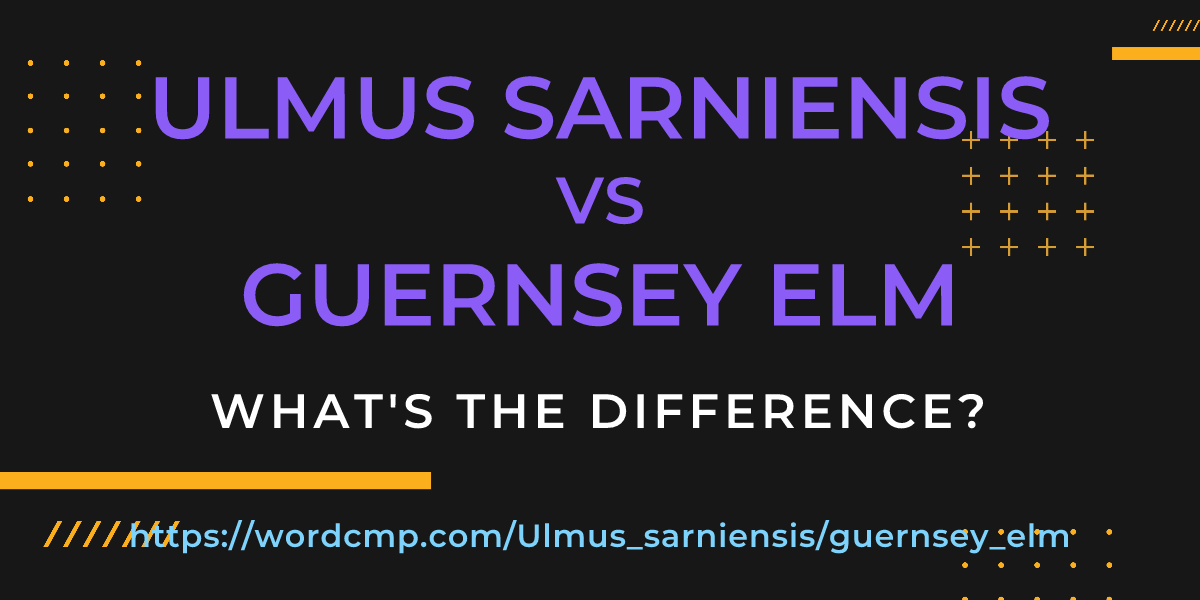 Difference between Ulmus sarniensis and guernsey elm