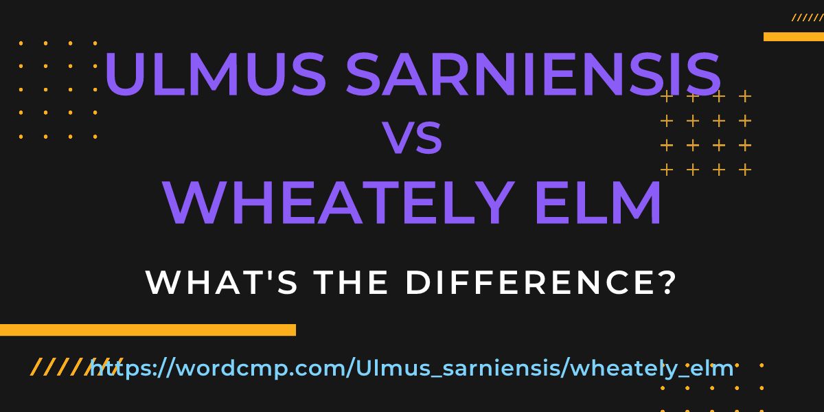 Difference between Ulmus sarniensis and wheately elm