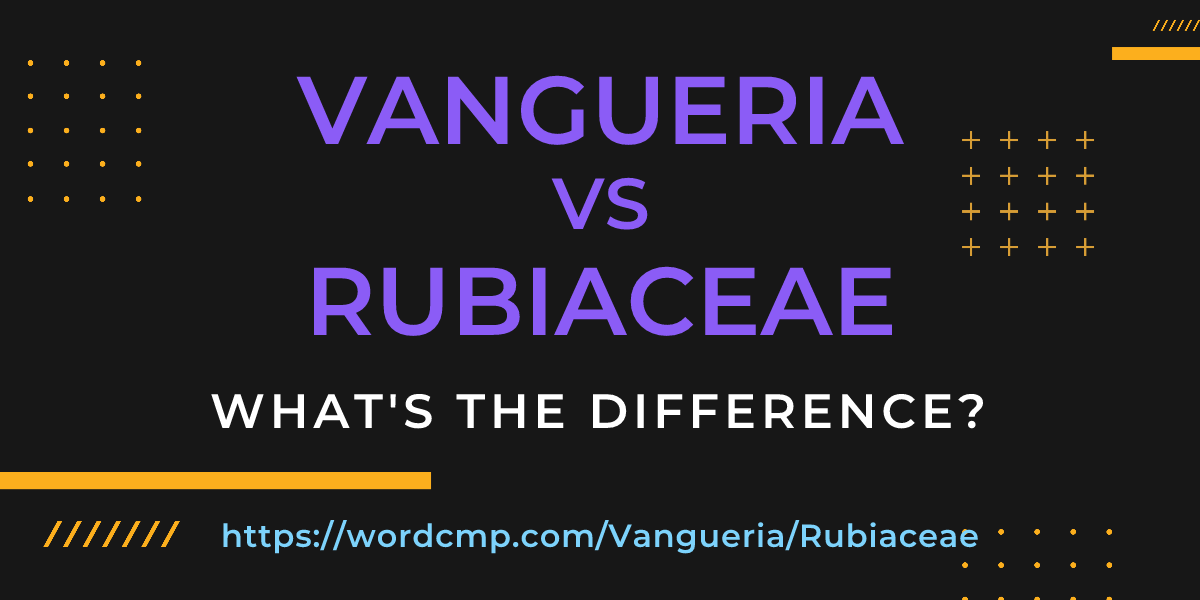 Difference between Vangueria and Rubiaceae