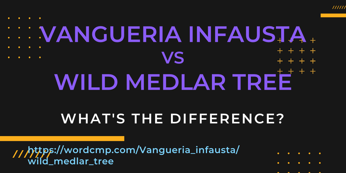 Difference between Vangueria infausta and wild medlar tree