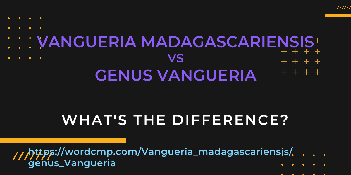 Difference between Vangueria madagascariensis and genus Vangueria