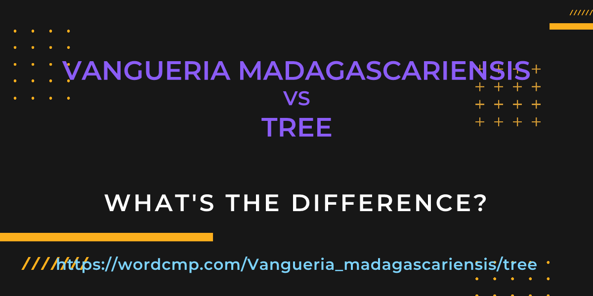 Difference between Vangueria madagascariensis and tree