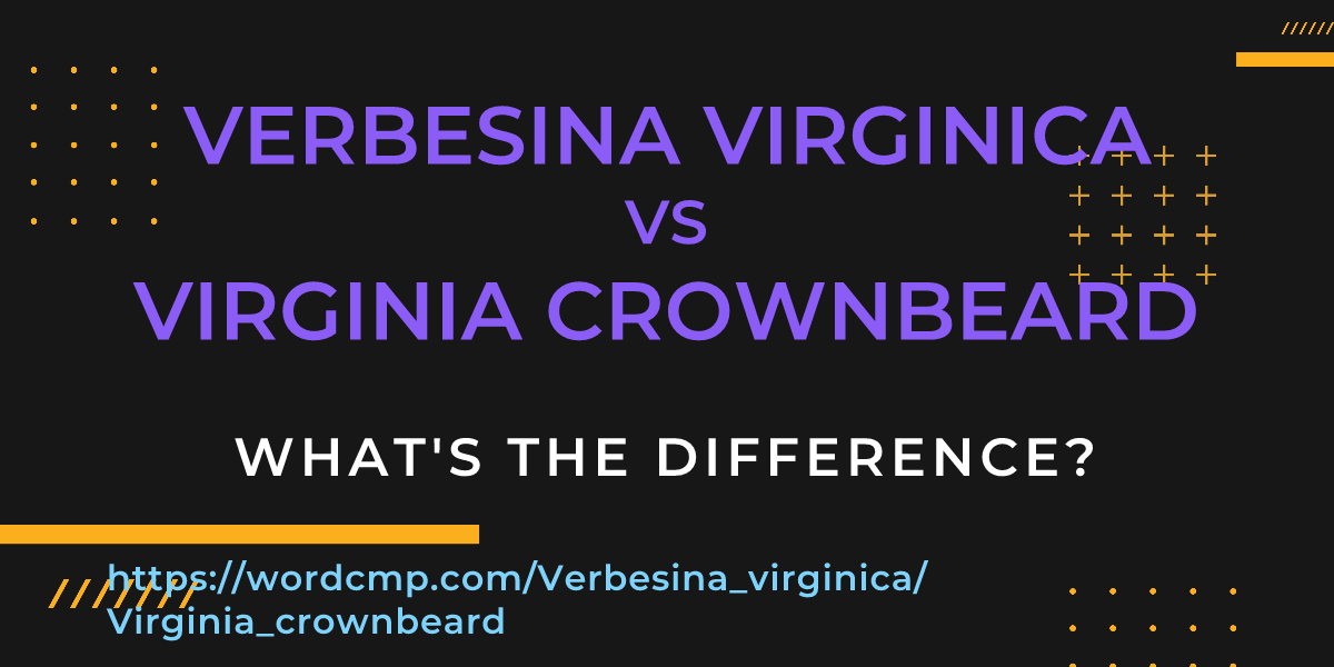 Difference between Verbesina virginica and Virginia crownbeard
