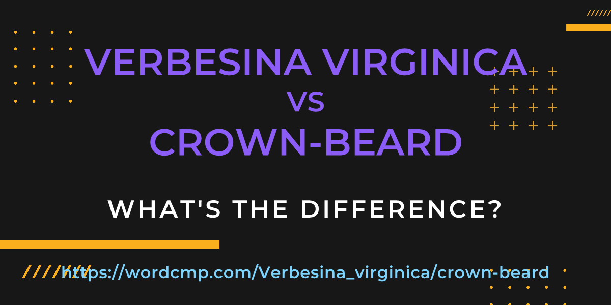 Difference between Verbesina virginica and crown-beard