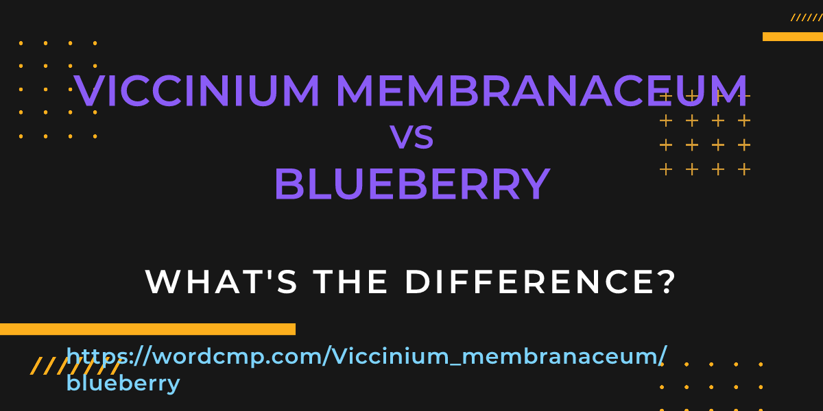Difference between Viccinium membranaceum and blueberry