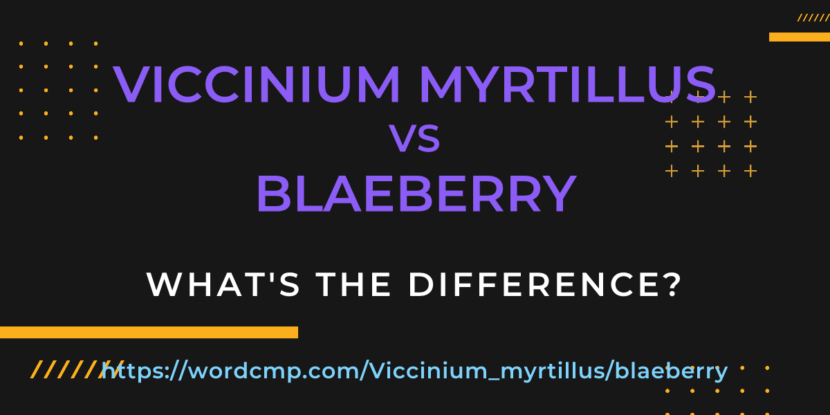 Difference between Viccinium myrtillus and blaeberry