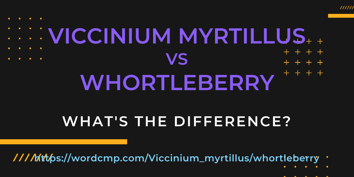 Difference between Viccinium myrtillus and whortleberry