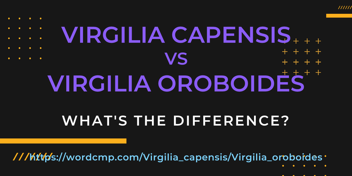 Difference between Virgilia capensis and Virgilia oroboides
