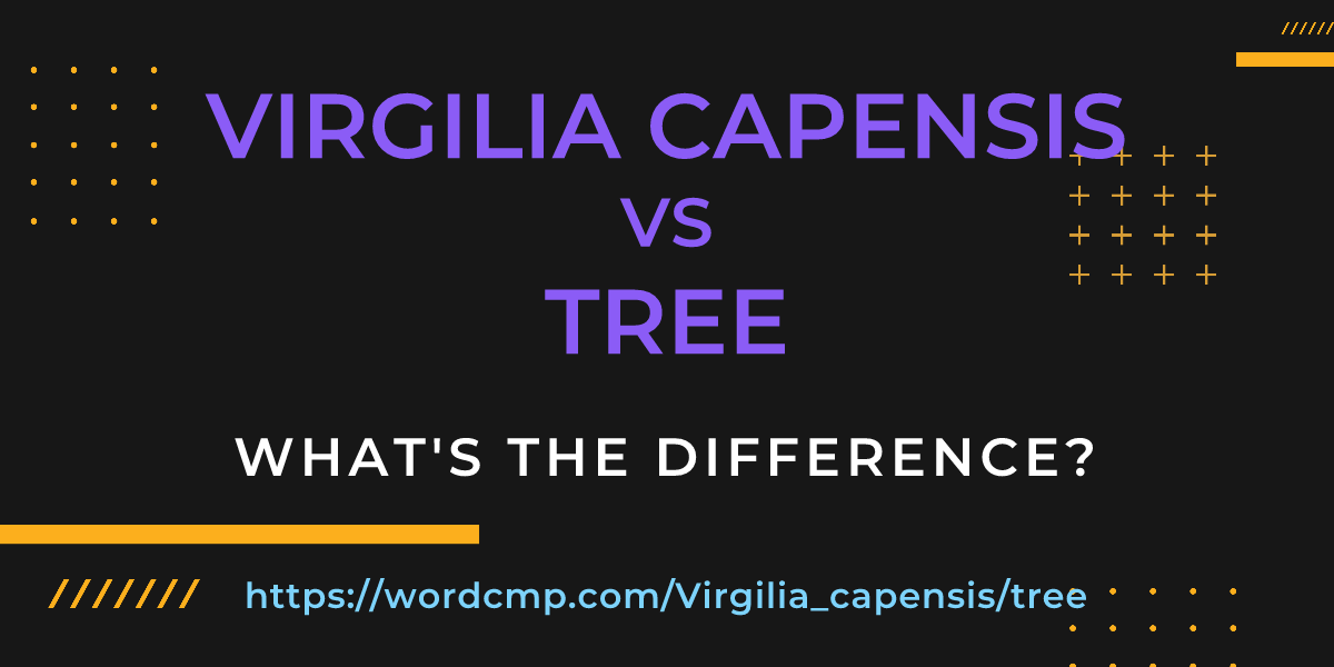 Difference between Virgilia capensis and tree