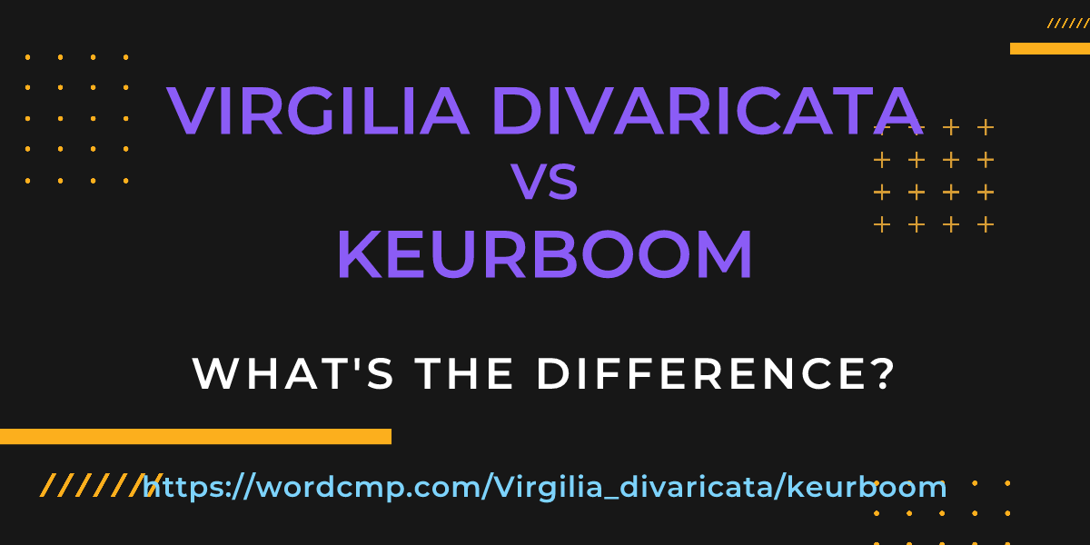 Difference between Virgilia divaricata and keurboom
