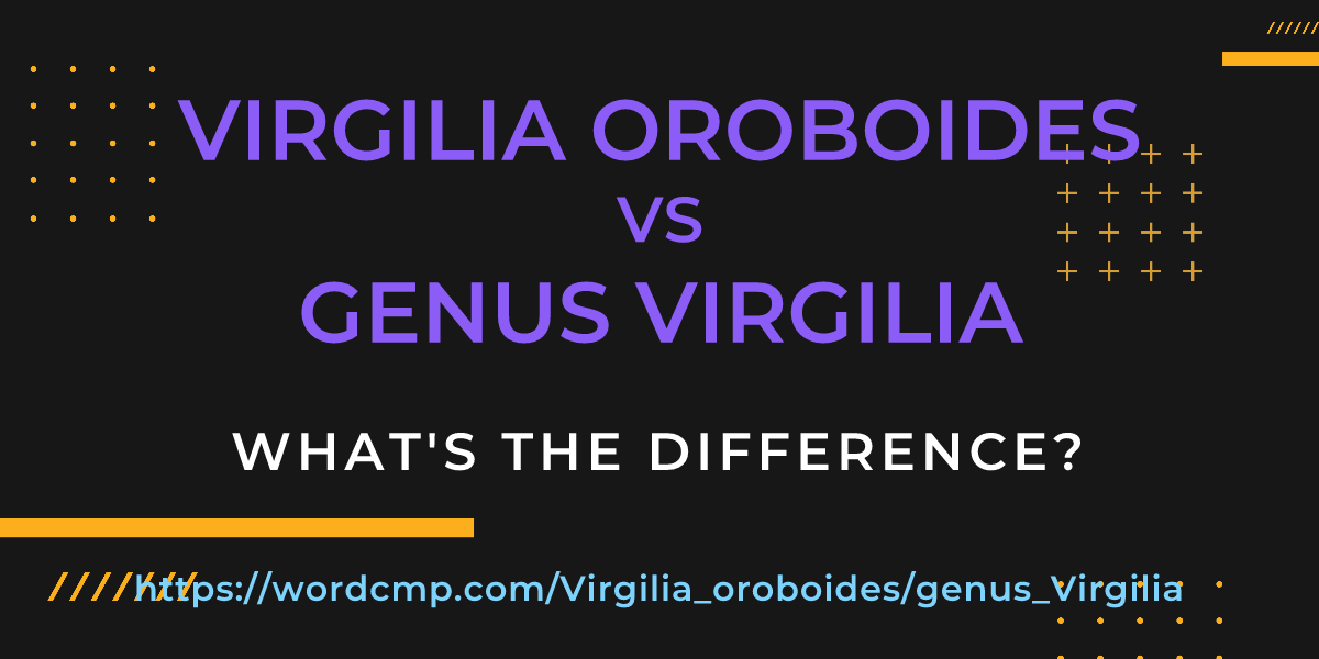 Difference between Virgilia oroboides and genus Virgilia
