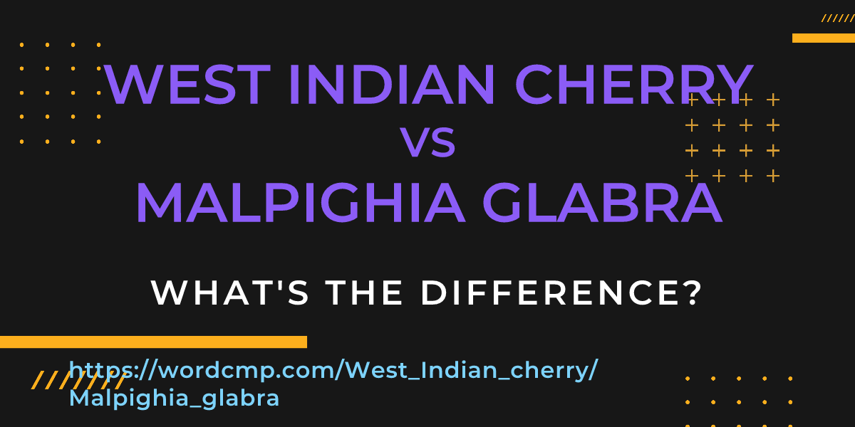 Difference between West Indian cherry and Malpighia glabra
