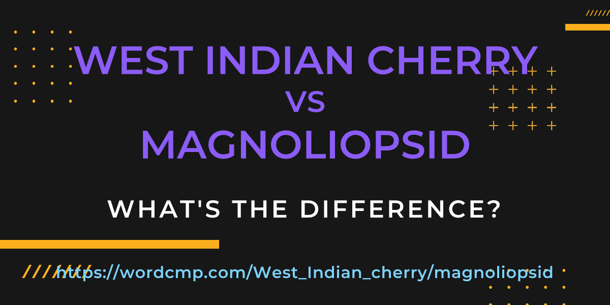 Difference between West Indian cherry and magnoliopsid