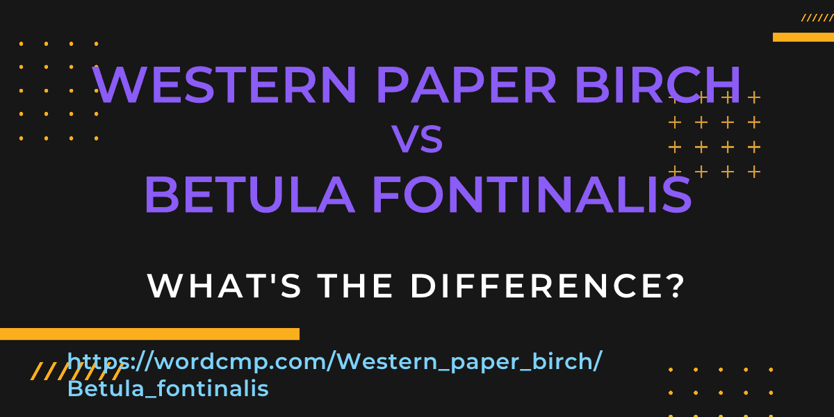 Difference between Western paper birch and Betula fontinalis