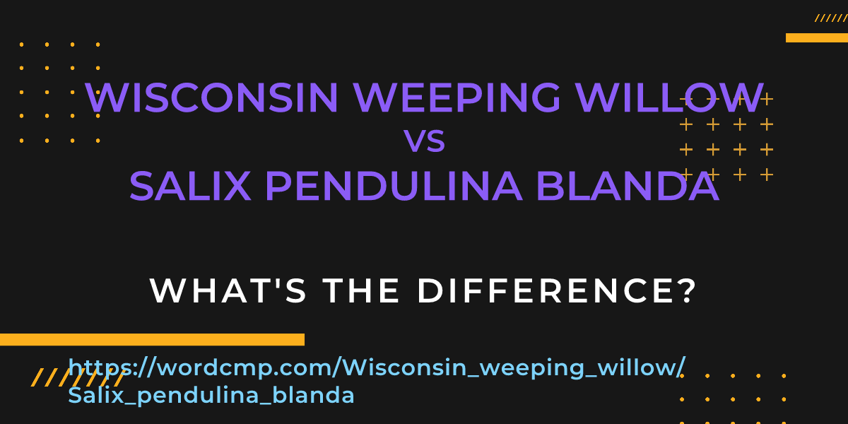 Difference between Wisconsin weeping willow and Salix pendulina blanda
