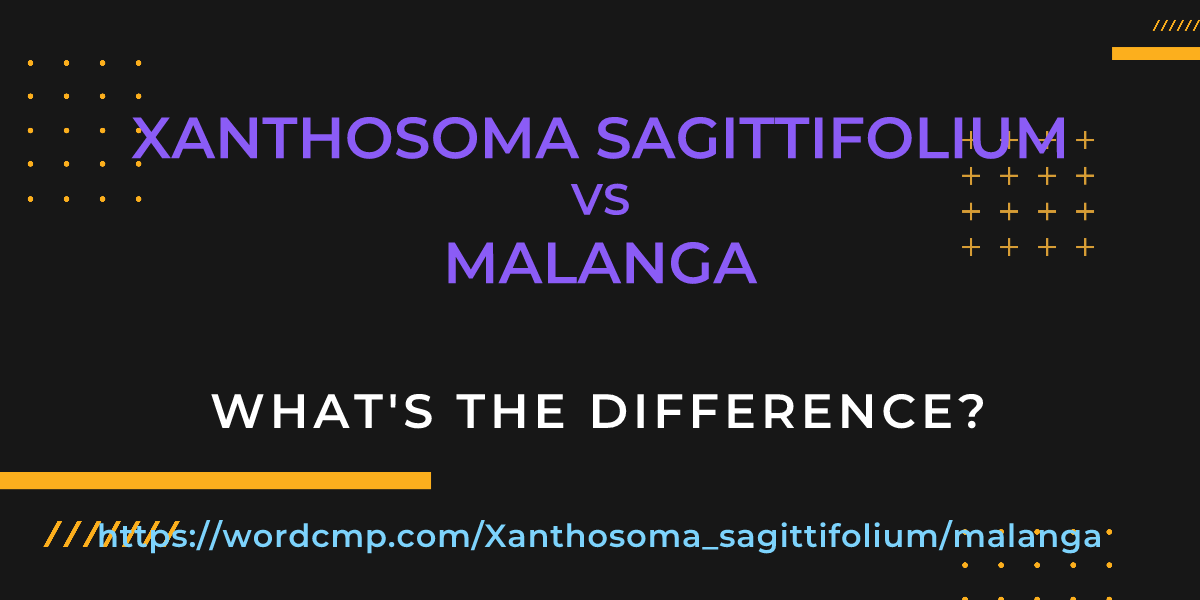 Difference between Xanthosoma sagittifolium and malanga