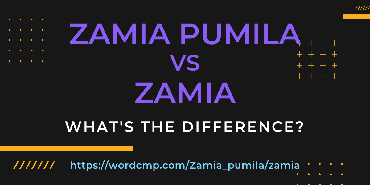 Difference between Zamia pumila and zamia
