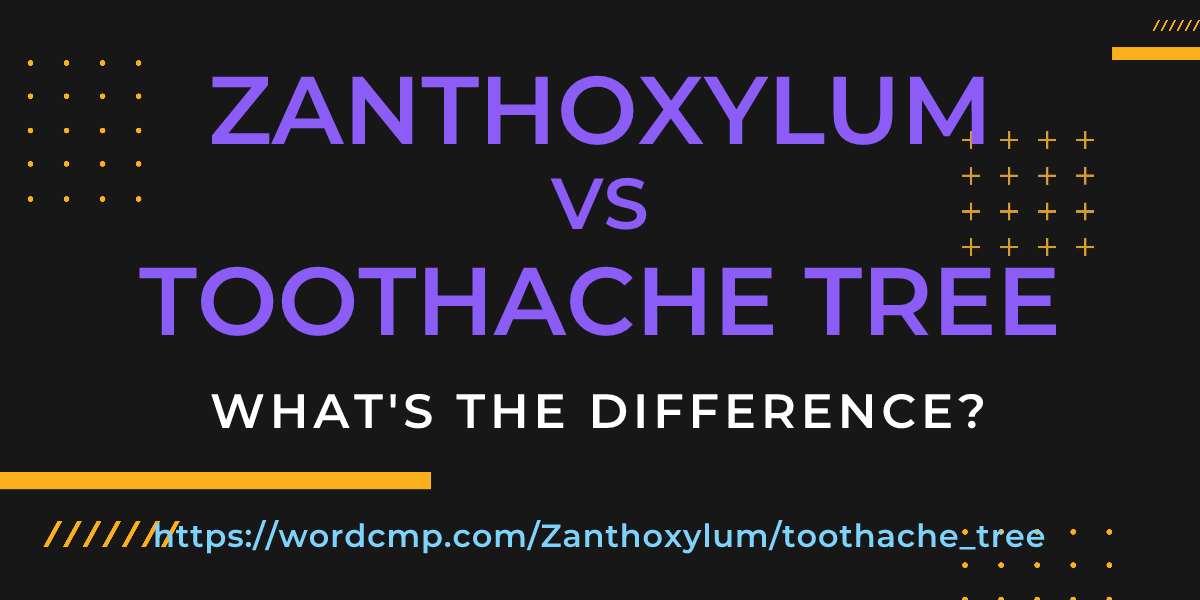 Difference between Zanthoxylum and toothache tree