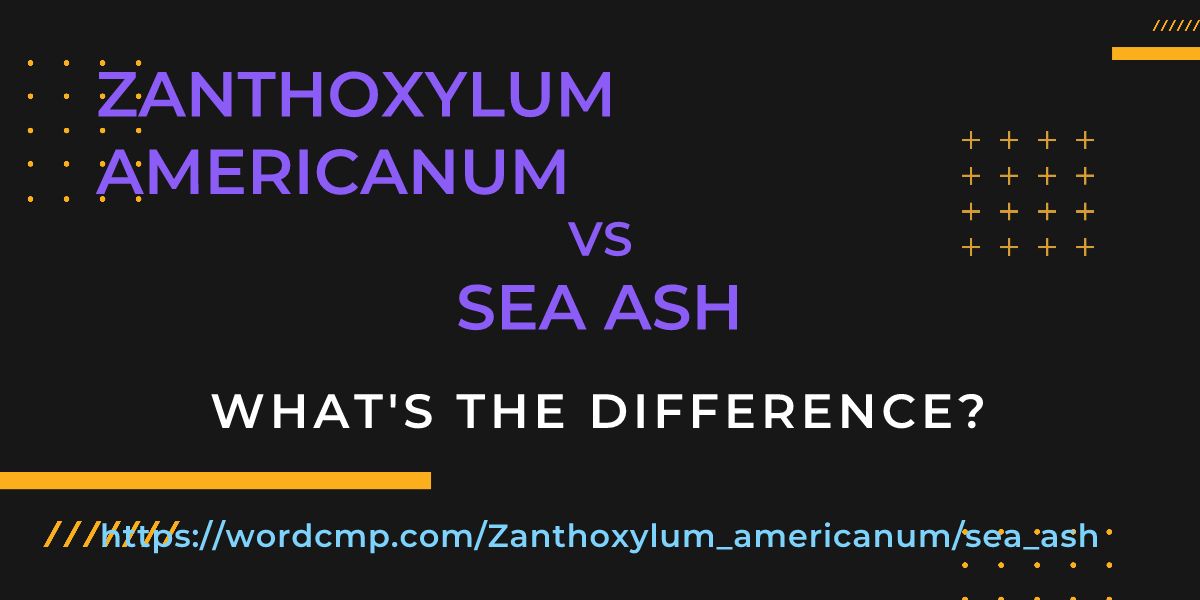Difference between Zanthoxylum americanum and sea ash