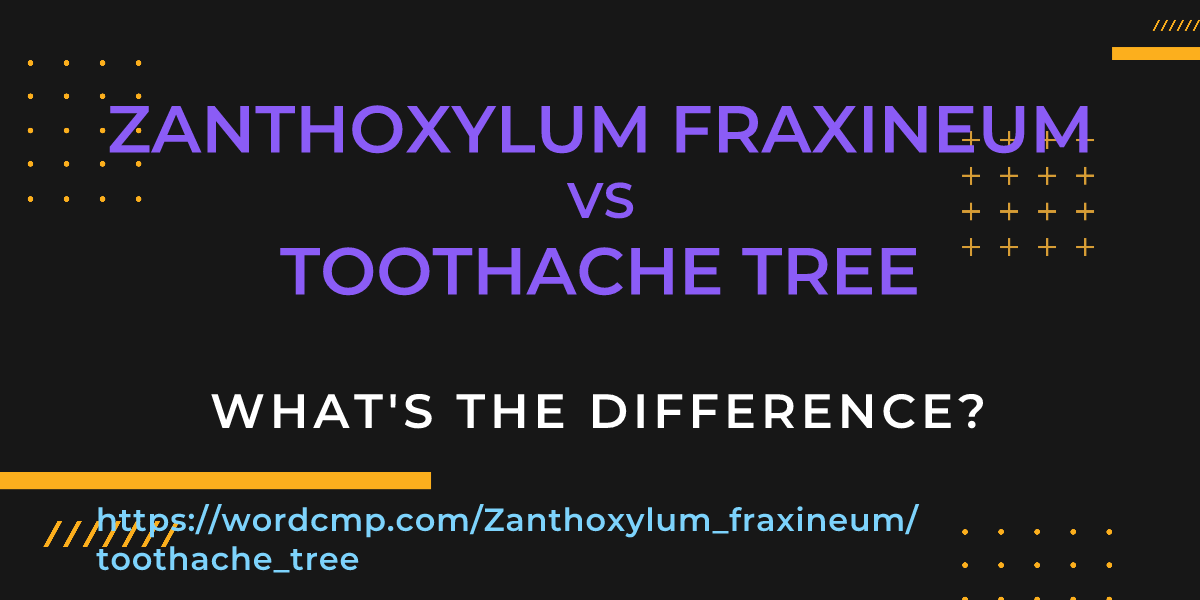 Difference between Zanthoxylum fraxineum and toothache tree