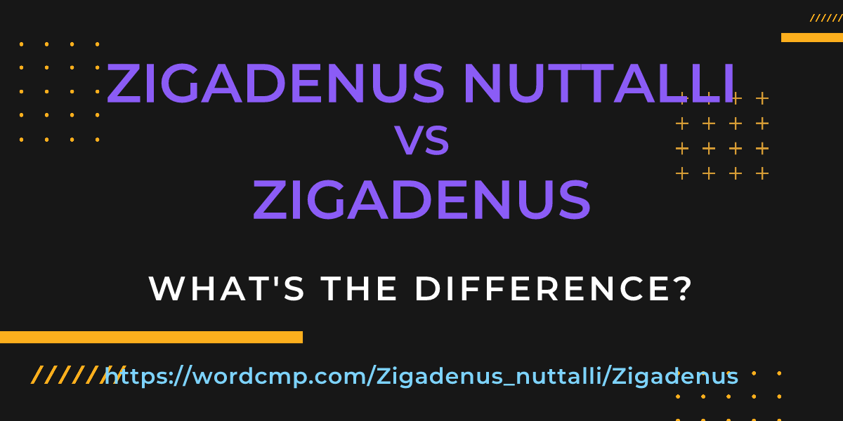 Difference between Zigadenus nuttalli and Zigadenus